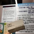 야옹아 놀자 포항점 네이버블로그