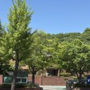 진주여자고등학교 앞 | [진주] 버터떡과 두쫀쿠가 있는 진주 디저트 카페 유어무드