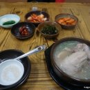 산호가든 이미지