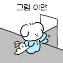 궁민박 이미지