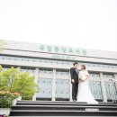 들꽃도서관 이미지