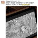 실종된 고양이를 일주일만에 찾은 트위터리안.twt 이미지