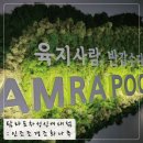 성신조경 이미지