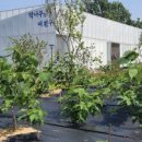 닥종이인형 (나만의 한지인형 만들기) 이미지