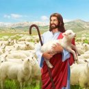 양한마리 이미지