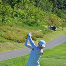 월드 C.C 이미지