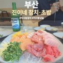 진이네참치초밥 | 지사동 횟집 진이네 참치 초밥 매장에서 낮술 마신 후기