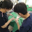 티스치과의원 이미지