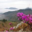 새파랑관광펜션 이미지