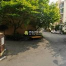 호현로387번길 Daum카페