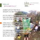 초록꿈디자인