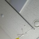 꿈나무아동병원 이미지