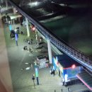 옐로우 마린 블루 이미지