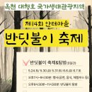 반딧불이 이미지