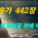 찬송가 442장 . 저 장미꽃 위에 이슬 이미지