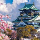 매일온천 이미지