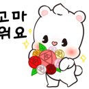꼬꼬유통 이미지