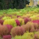 푸른농장2 이미지