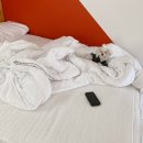 벨르앙쥬펜션 이미지