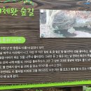 편백세상