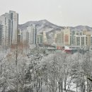 한사랑치과의원 이미지