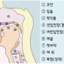 이야기언어발달센터 이미지