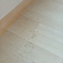 테크노북로 | 대구 현풍 입주청소 테크노폴리스LH천년나무 아파트 1단지 쓰리룸 이사청소 후기