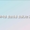 혜민동물병원 이미지