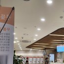 (주)성한 | 무릎 콜라겐 주사 효과, 후기, 실비 정보 총정리(+관절염 완치 비법)