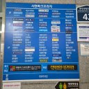서현고등학교 | 서현역척추교정 고민이라면 분당서현자세교정 도울교정원 추천