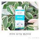 이탈리아에서 온 프리미엄 유기농 코이타우유! 멸균우유라서 보관도 편하고 유통기한도 길어서 굿~