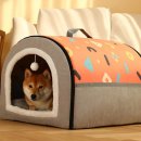 럭키켄넬 이미지