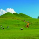 송학동-13 이미지