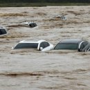 차량일번지 이미지