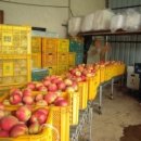 예일농장 이미지