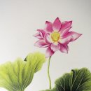 보태니컬아트(색연필화) 이미지