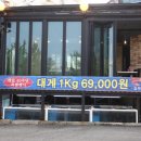윌횟집