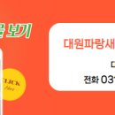 파랑새부동산중개사무소 이미지