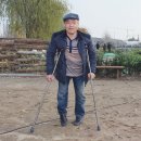전통농업연구소