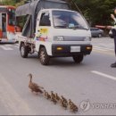 성호세탁소 이미지