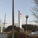 이화가든 | [내돈내산] 공주 계룡 맛집│이화가든 송어회·매운탕 가족모임 후기