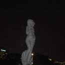 호수공원6로 Daum카페