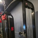 머슬원핏 시화점 이미지