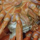 일등수산 이미지