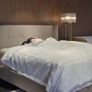 논현종합사회복지관(1층2층3층4층) | 시몬스 갤러리 논현점, 슬립라운지 꿀잠체험 후기｜수면진단 받고 진짜 잠듦