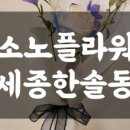 소노플라워 이미지