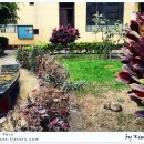 안녕,고양이 이미지