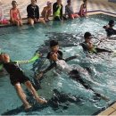 수영초등 이미지