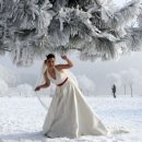 미림화원 이미지