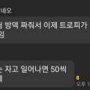 나비랜드 Daum카페